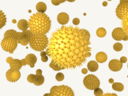 Pollen 101: What It Is, Why It Spikes in Spring, and How to Avoid It